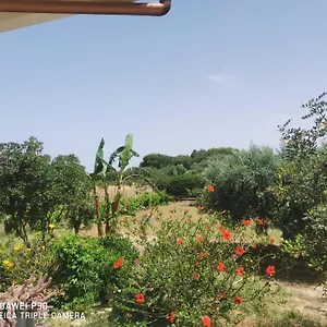 Vacanze Baglio Sances Appartamento